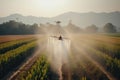 Flying Automate drone is spraying fertilizer on to farmer plant paddy field.