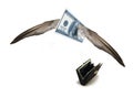 Flying away dollar Royalty Free Stock Photo