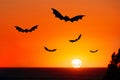 Flying bat silhouette Halloween background