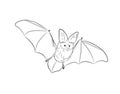 Flying Bat Sketching Vector