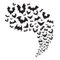 Flying bats flock. Creepy halloween bat fly from cave. Scary nocturnal animal at sky horizontal divider vector