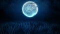 Flying bats halloween background, Night with big moon and grasses blew by the wind, Design elements decoration halloween