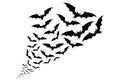 Flying bats silhouettes. flock of bats