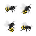 Flying bee isolated on white background, Insect wild life illustration  design. Royalty Free Stock Photo