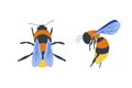 Flying Bee isolated on white background vector illustration. Set of yellow humblebee