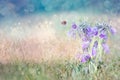 Flying bee to blue bell flower. Early spring close-up flowers and working honeybee. Magic morning. Copy space