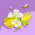 Flying bees pollinate a bouquet of flowers