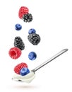 Flying berries over of spoon of greek yogurt isolated on white background Royalty Free Stock Photo