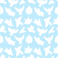 Flying bird abstract silhouettes on blue background. White bird, dove or seagull seamless pattern. Flat different poses Royalty Free Stock Photo