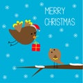 Flying bird and baby bird. Merry Christmas card. Royalty Free Stock Photo