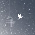 Flying Bird And Cage Silhouettes. Freedom Concept
