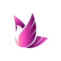 Flying bird dove logo design vector Royalty Free Stock Photo