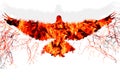 Flying bird in fire and flame silhouette of eagle or dove with lightnings and shadow on white isolated background. Never give up