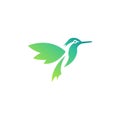 Flying bird gradient vector logo template Royalty Free Stock Photo