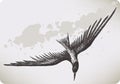 Flying bird, hand-drawing. Vector illustration.