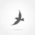 Flying bird icon Royalty Free Stock Photo