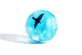 Flying bird inside a glass sphere Royalty Free Stock Photo