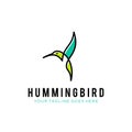 Flying bird logo design template with linear concept style. vector illustration of hummingbird/colibri in outline, monoline style