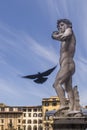 A flying bird passes by the replica of Michelangelo`s famous statue of David, Piazza della Signoria square, Florence, Italy Royalty Free Stock Photo