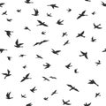 Flying bird seamless pattern. Drawing birds flock flying, abstract aerial black silhouettes in sky, print textile