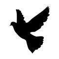 Flying bird silhouette on a white background. silhouette pigeon flying. Vector illustration