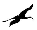 Flying bird with spread wings. Silhouette vector illustration, isolated on white background. Sign, logo or tattoo Royalty Free Stock Photo