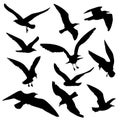 Flying birds black silhouettes vector set Royalty Free Stock Photo