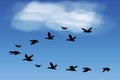 Flying birds in the blue sky. Black silhouettes of pigeons swallows. Realistic sketch of a flock of birds. Vector image