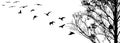 Flying birds and branch silhouettes on white background Royalty Free Stock Photo