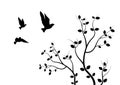 Flying Birds On Branch, Wall Decals, Art Design, Flying Birds on Tree Illustration. Isolated on white background Royalty Free Stock Photo