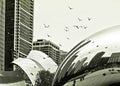 Flying birds in Chicago (Black and White)
