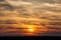 Flying birds on dramatic sunset background Royalty Free Stock Photo