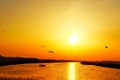 Flying birds and dusk in Japanese town