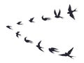 Flying birds flock silhouette. Swallows, sea gull or marine birds isolated on white background. Vector bird icon set Royalty Free Stock Photo