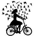 Flying birds with girl biking