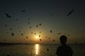 Flying birds over the sea surface Royalty Free Stock Photo