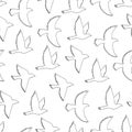 Flying birds seamless pattern. Royalty Free Stock Photo