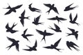 Flying birds silhouette. Flock of swallows, sea gull or marine birds isolated on white background. Vector set of