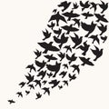 Flying birds silhouette vector background Royalty Free Stock Photo