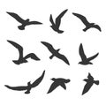 Flying birds silhouette vector set Royalty Free Stock Photo