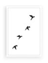 Flying Birds Silhouettes isolated on white background, vector. Black and white Wall Decals, Art Decor, Wall Decoration, wall art Royalty Free Stock Photo