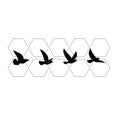 Flying birds silhouettes pattern wallpaper. PNG transparent. isolated bird flying. tattoo design. Royalty Free Stock Photo