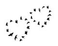 Flying birds silhouettes in a shape of a hearts isolated on white background Royalty Free Stock Photo