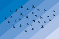 Flying birds silhouettes on white background. Vector illustration. isolated bird flying. tattoo and wallpaper background design Royalty Free Stock Photo