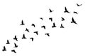 Flying birds silhouettes on white background. Vector illustration. isolated bird flying. tattoo design