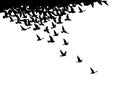 Flying birds silhouettes on white background. Vector illustration. isolated bird flying. tattoo design Royalty Free Stock Photo