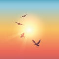 Flying birds in sunny colorful sky