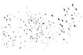 Flying birds vector sketch Royalty Free Stock Photo