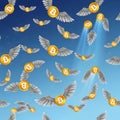 Flying Bitcoin Coins in Blue Sky Background Royalty Free Stock Photo