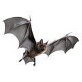 A flying black bat is cut out on a transparent background. Mockup of a bat with spread wings in PNG format for inserting Royalty Free Stock Photo